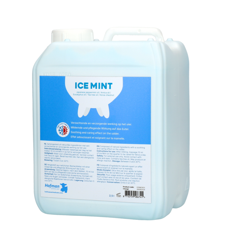 Gel Menthe Glacée 2,5 l avec pompe doseuse
