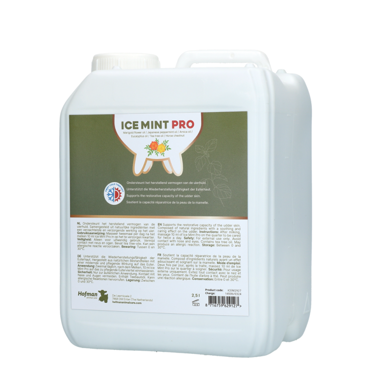 Gel Pro Menthe Glacée 2,5 l avec pompe doseuse