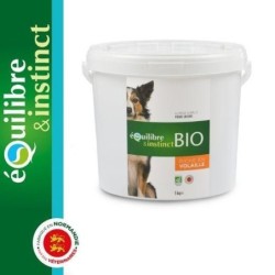 Croquettes BIO pour chien...