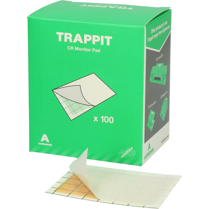 Tampon adhésif de surveillance des insectes