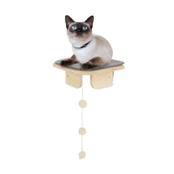 AFP Skywalk - Quai d'angle