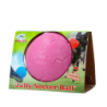 Ballon de football Jolly Rose S (15 cm)