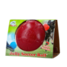 Ballon de football Jolly Rouge S (15 cm)
