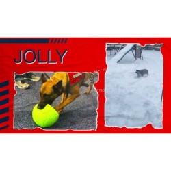 Ballon de football Jolly Bleu clair L (20 cm)