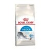 Croquettes Royal Canin Indoor pour chat 2kg