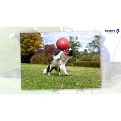 Jeu de tir à la corde Jolly Tug-n-Toss Myrtille M (15 cm)