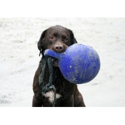 Jolly Tug-n-Toss Rouge L (20 cm)