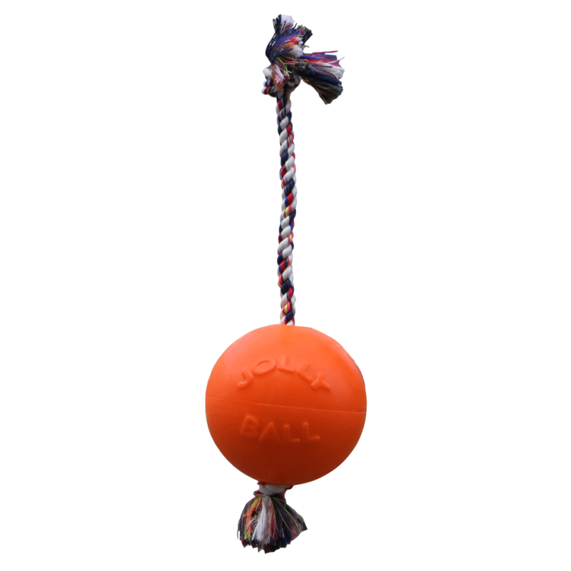 Jolly Romp-n-Roll Vanille L (20 cm)