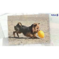 Jolly Egg Rouge S (20 cm)
