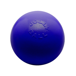 Jolly Bounce-n Play Bleu M...