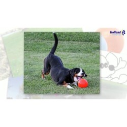 Jolly Bounce-n Play Myrtille M (15 cm)