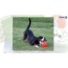 Jolly Bounce-n Play Myrtille M (15 cm)