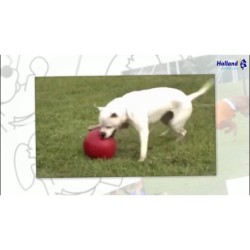 Poussette Jolly Push-n-Play Bleu XL (35 cm)