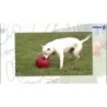 Poussette Jolly Push-n-Play Bleu XL (35 cm)