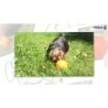 Pull Jolly Orange M (10 cm)