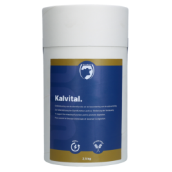 Kalvital
