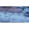 Gel antiparasitaire Knock Pest 5 g