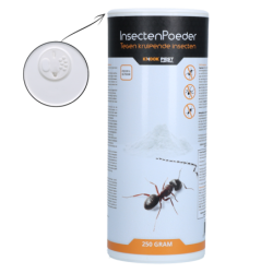 Poudre insecticide Knock...