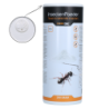 Poudre insecticide Knock Pest 250 g