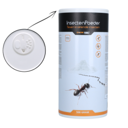 Poudre insecticide Knock...