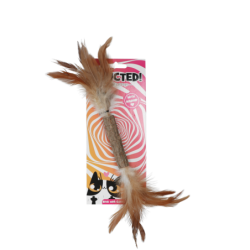 Accro ! Restez fidèle à...