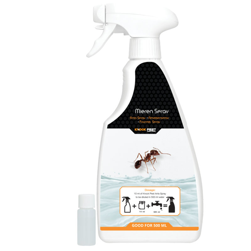 Spray anti-fourmis Knock Pest