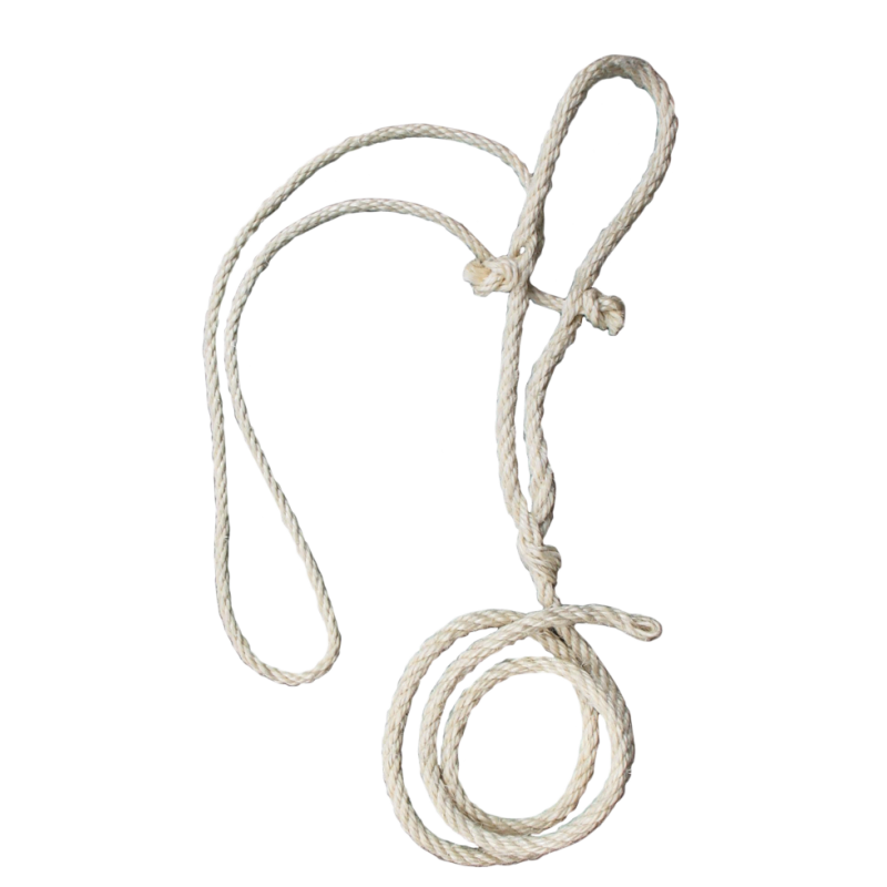Licol en corde pour vache + corde de tête fine