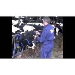 Support de tête Vink
