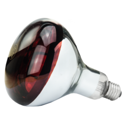 Lampe en verre dur 250 W -...