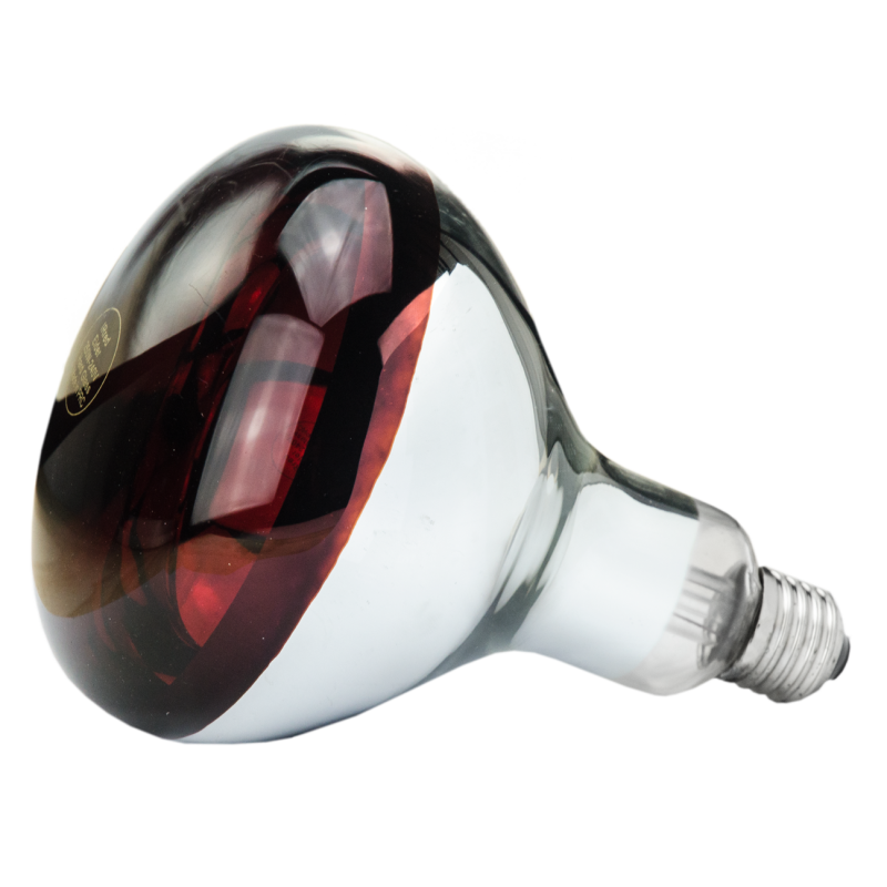 Lampe en verre dur 250 W - Rouge