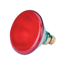 Lampe à économie d'énergie...