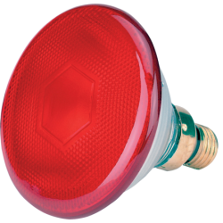 Lampe à économie d'énergie...