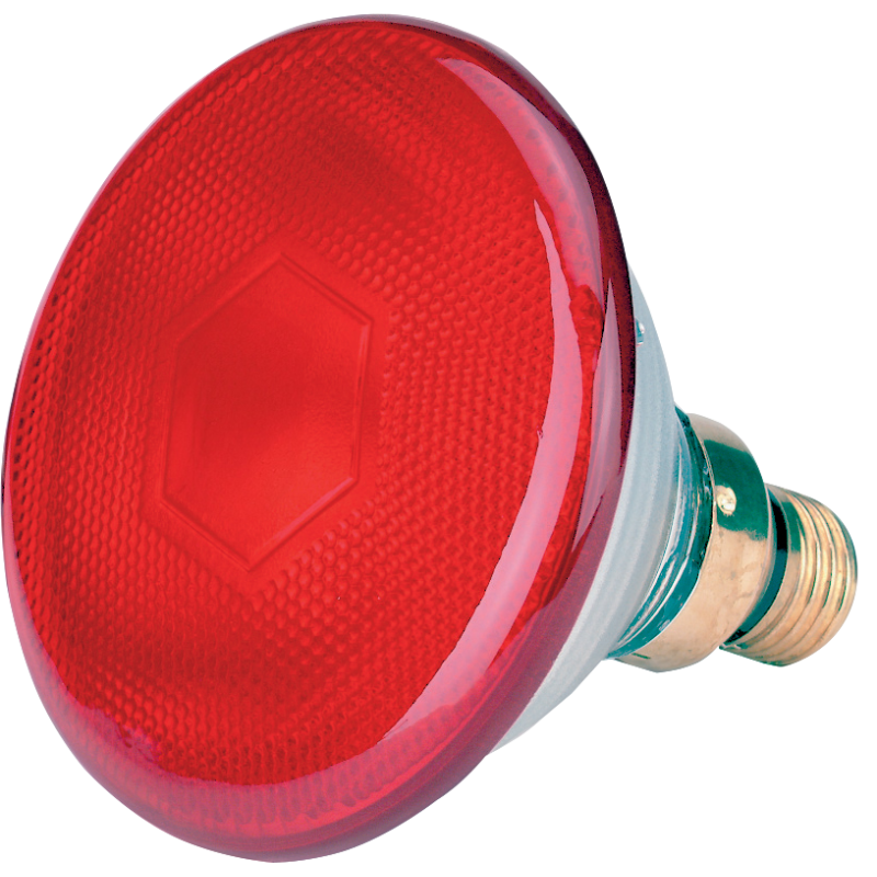 Lampe à économie d'énergie 175 W - Rouge