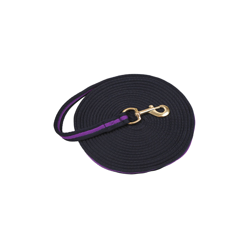 Fouet à fente soft lux noir avec muscuton 8 m violet