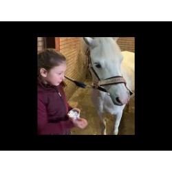 Friandises pour chevaux Lucky Horse Unicorn