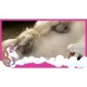 Spray pailleté licorne Lucky Horse doré
