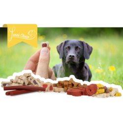 Mélange pour chiots Luna's Choice Trainer Mix (grand)
