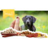 Mélange pour chiots Luna's Choice Trainer Mix (grand)