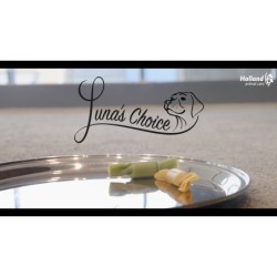 Rondelles de buf Luna's Choice Trainer Mix