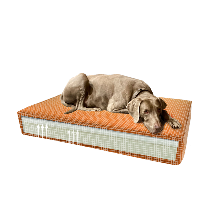 Coussin orthopédique Madison en velours orange S