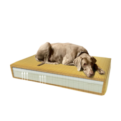 Coussin orthopédique Madison en velours jaune S