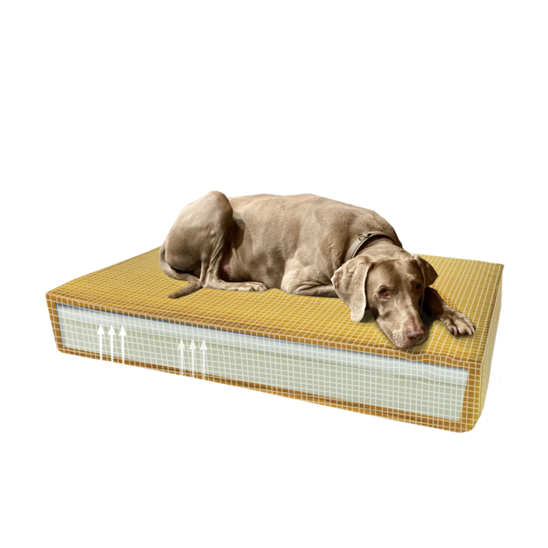 Coussin orthopédique Madison en velours jaune S