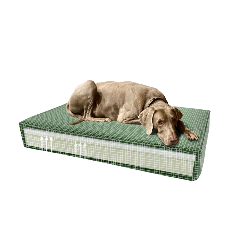 Coussin orthopédique Madison en velours vert S