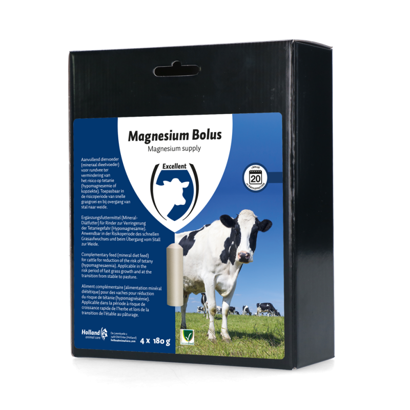 Excellent Bolus de Magnésium 4 x 180 g
