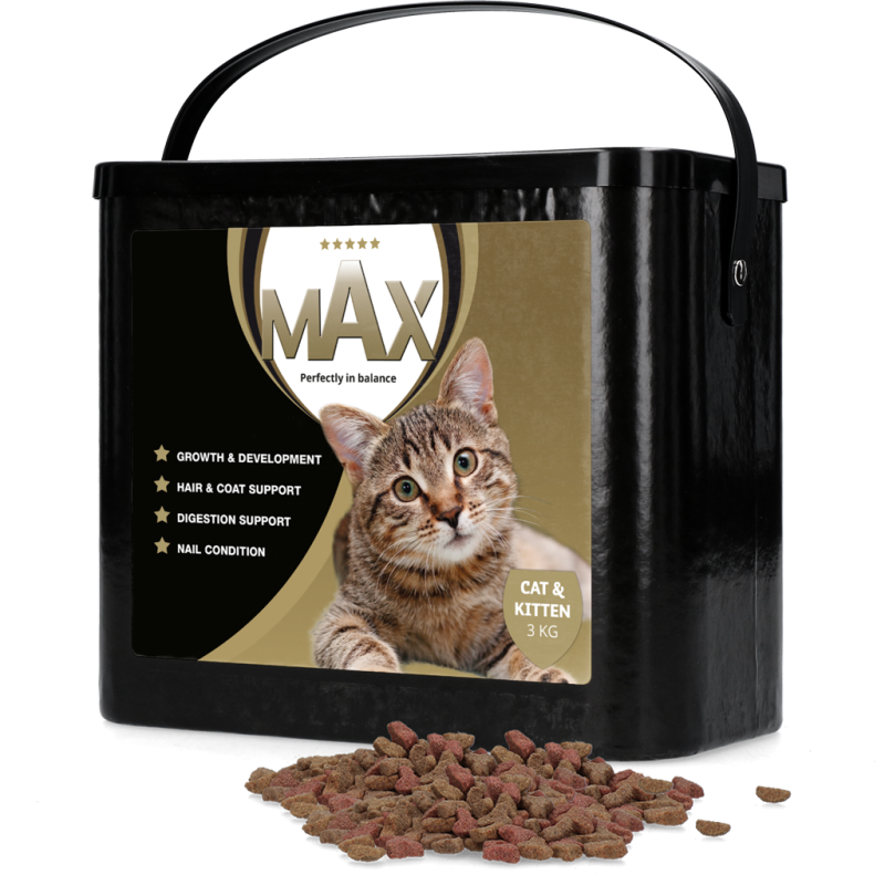 Max Kat et Kitten 3 kg