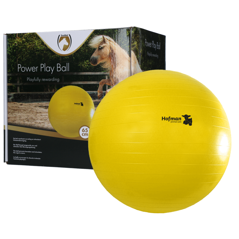 Ballon de jeu Maximus Power 65 cm