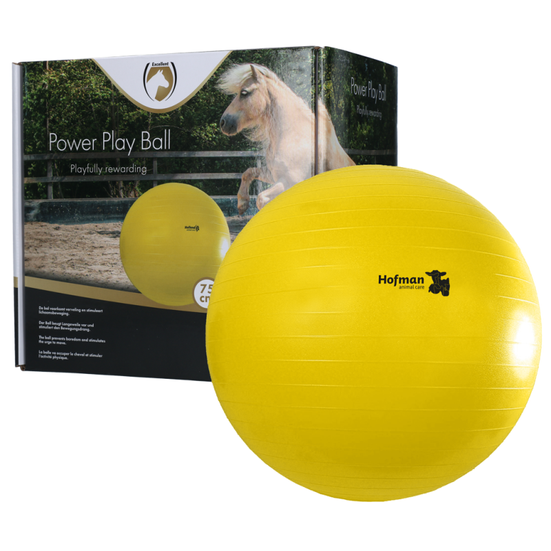 Ballon de jeu Maximus Power 75 cm