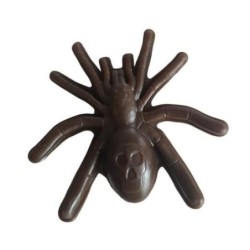 Friandise araignée...