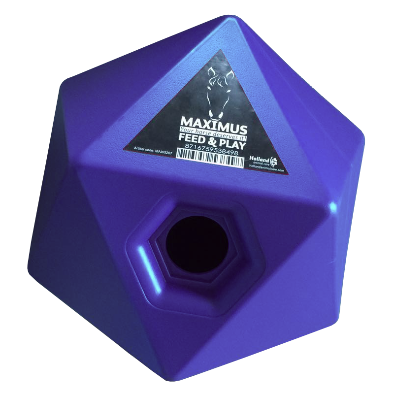 Maximus Feed & Play Bleu