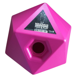 Maximus Feed & Play Rose